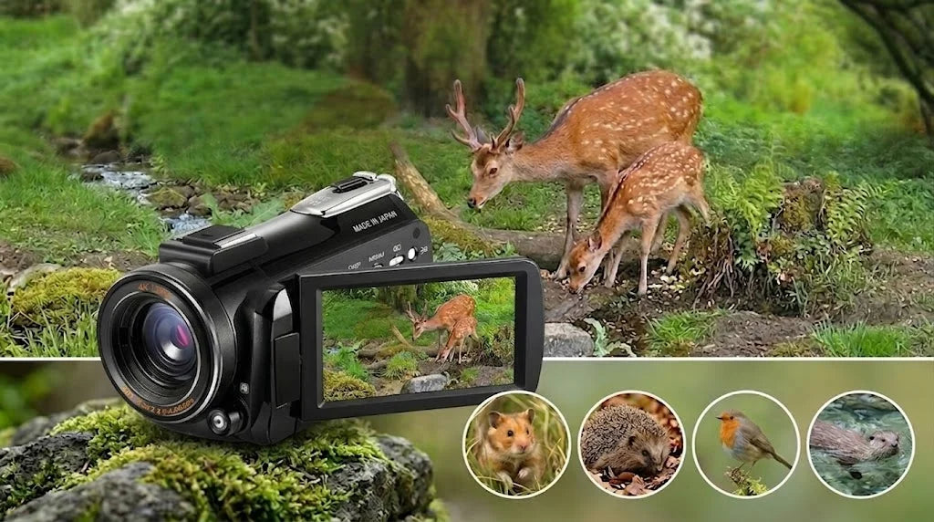 ORDRO AC3 budget 4K camera previewing two deer on its LCD screen in a forest environment.