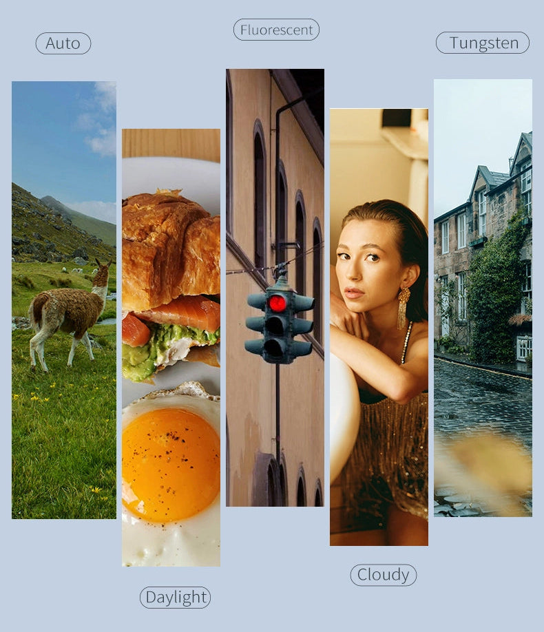 Five vertical photo panels demonstrating the auto, fluorescent, tungsten, daylight, and cloudy white balance modes available on the ORDRO DV-107 digital camera.